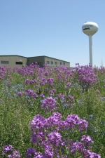 Photo of Immuno-Dynamics, Inc. Photo of Immuno-Dynamics, Inc.