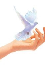 Photo of Kara’s Massage Therapy Photo of Kara’s Massage Therapy